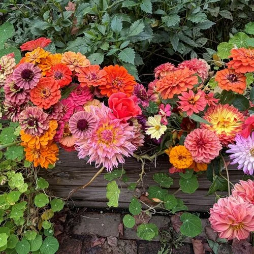 Gardening
