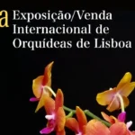 Orquídeas