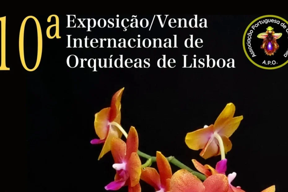 Orquídeas