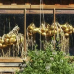 Horta