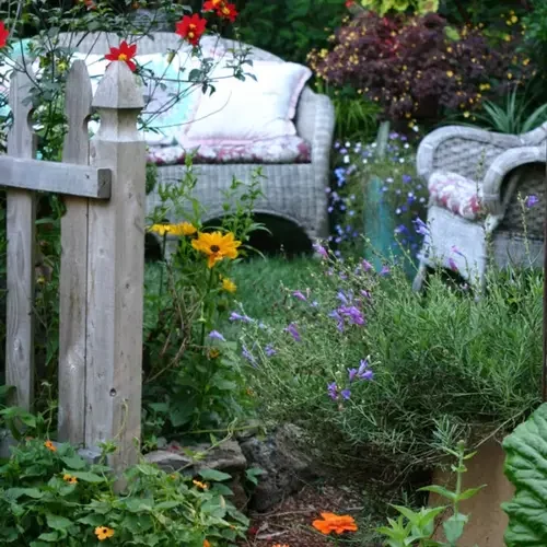 Garden Photos of the Day