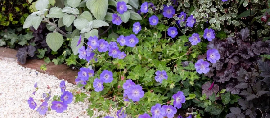 jardinagem