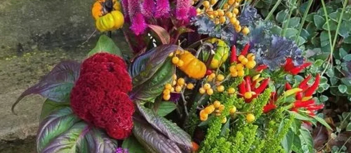 Fall gardening