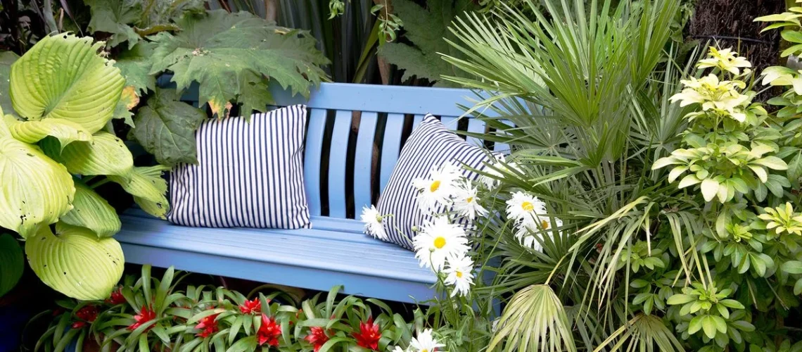 Plantas para privacidade