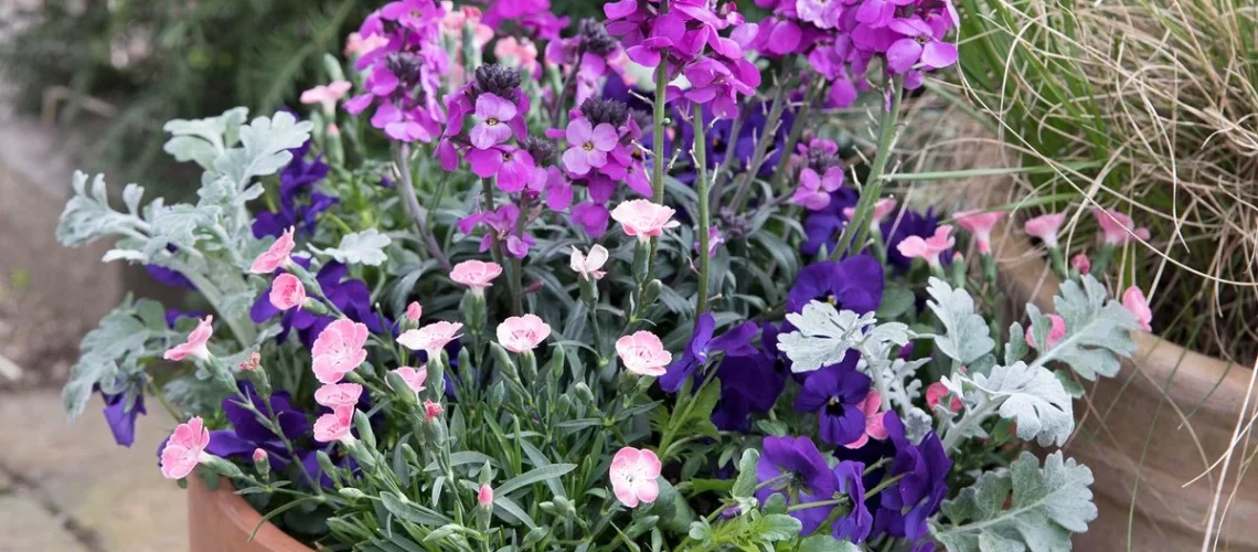 plantio de primavera