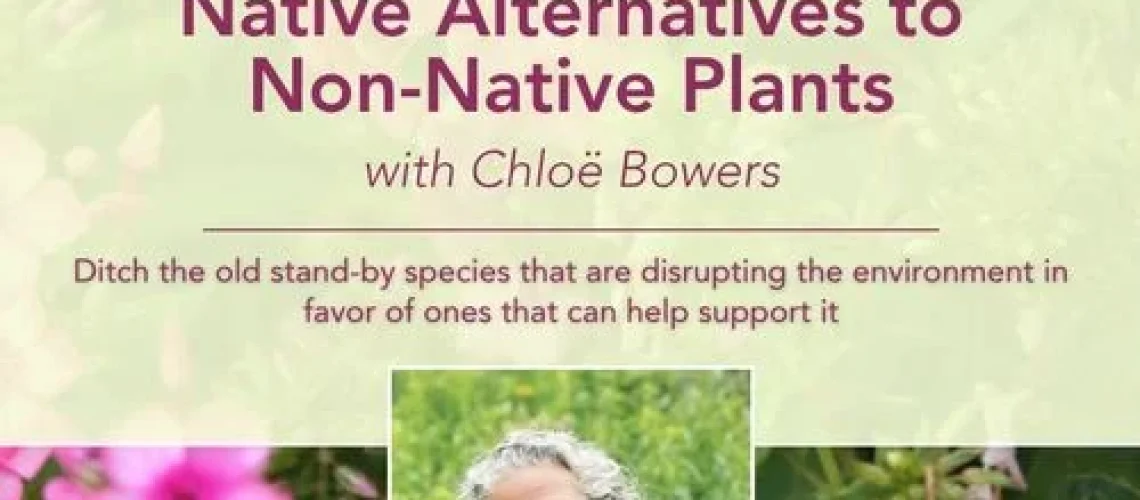Native plants