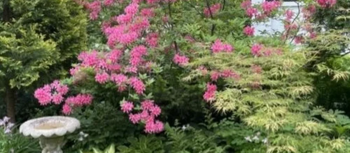 Jardinagem