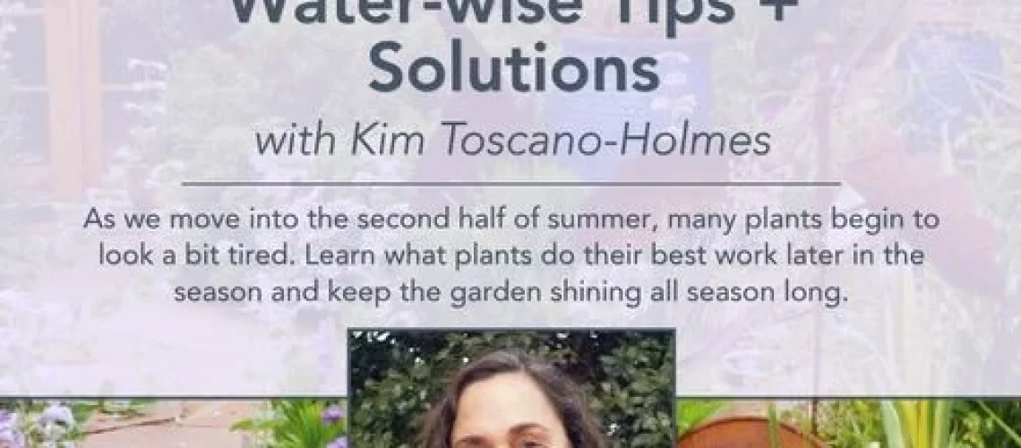 Water-Wise Gardening