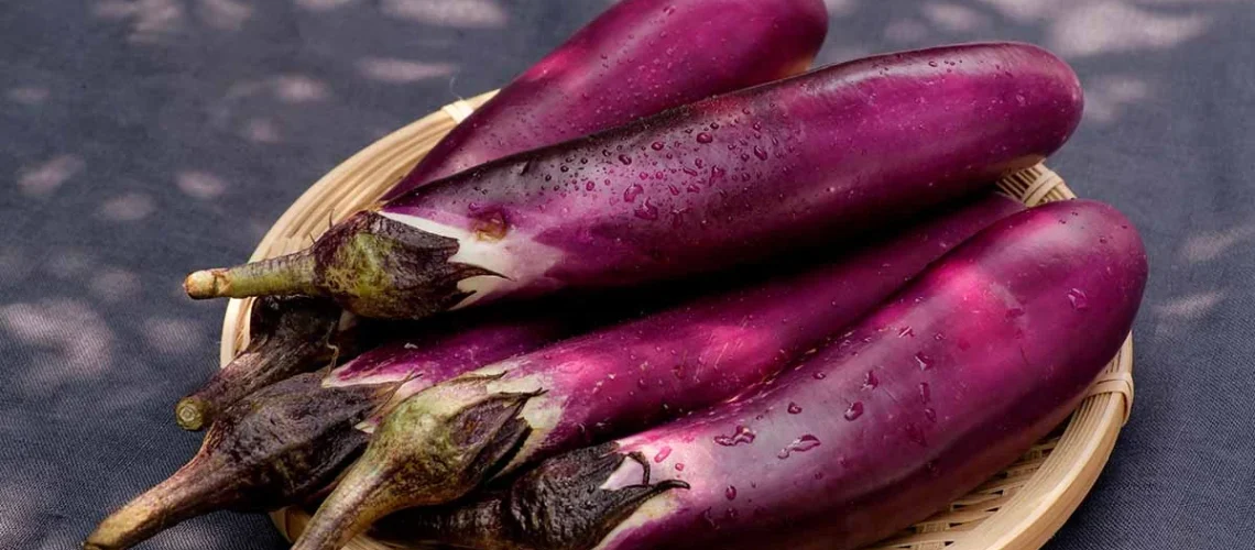Japanese eggplant