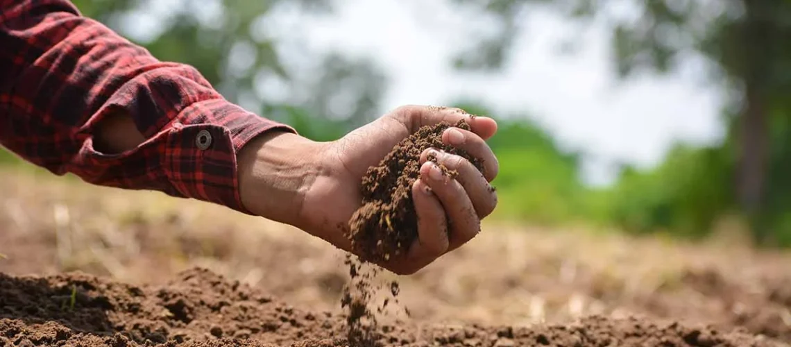 soil test kits
