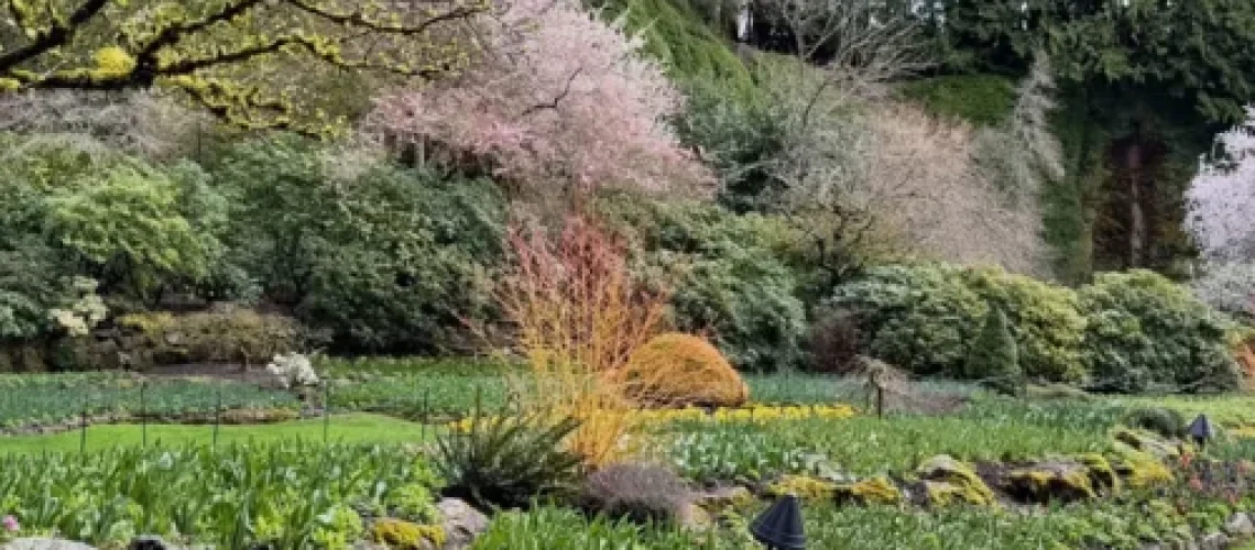Butchart Gardens