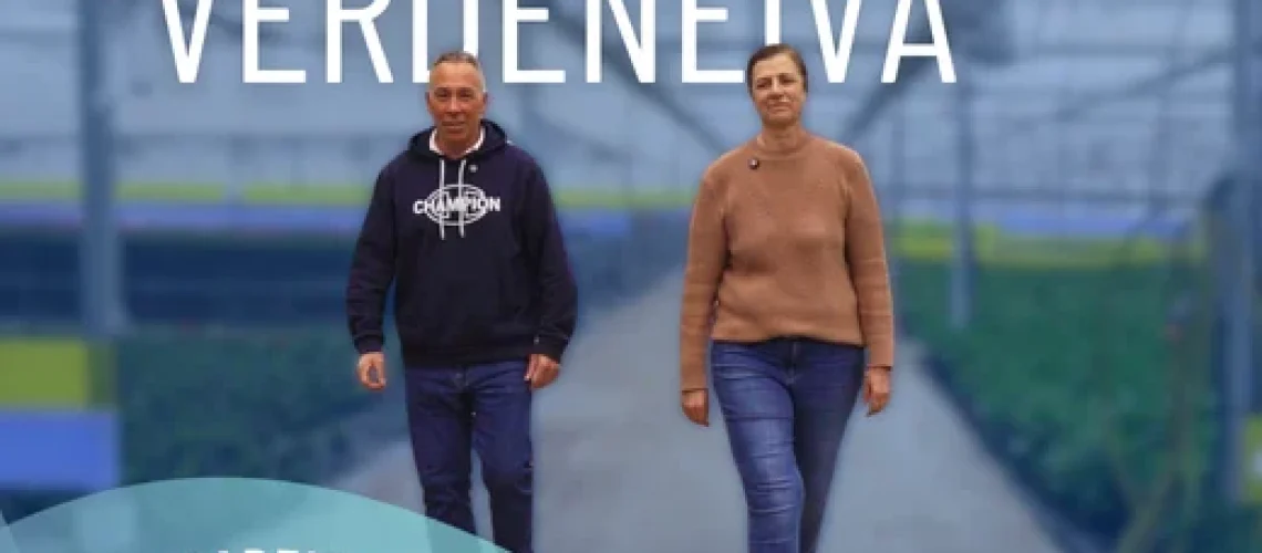 Verdeneiva