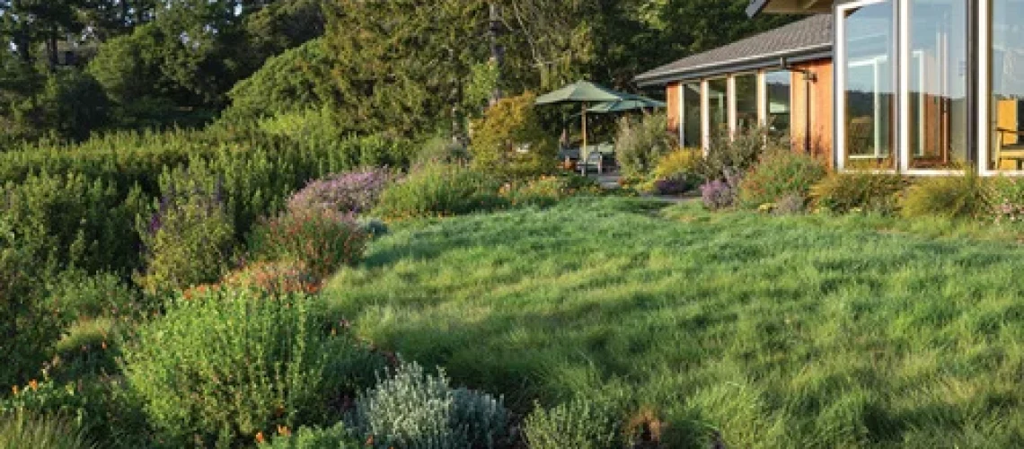 Landscape design