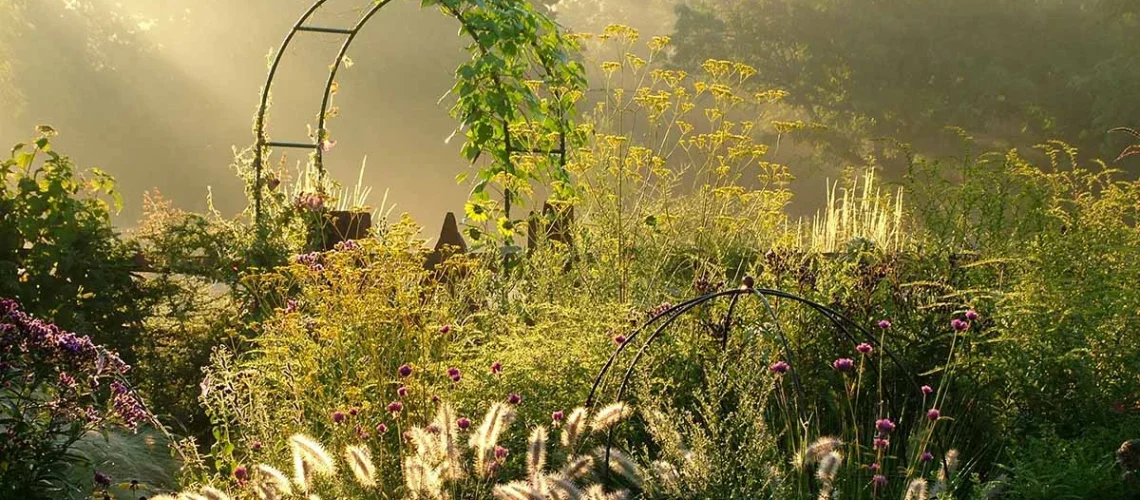 fall gardening
