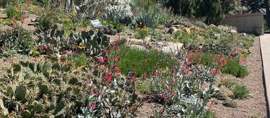 Denver Botanic Gardens