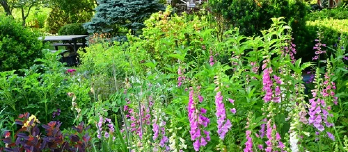 gardening