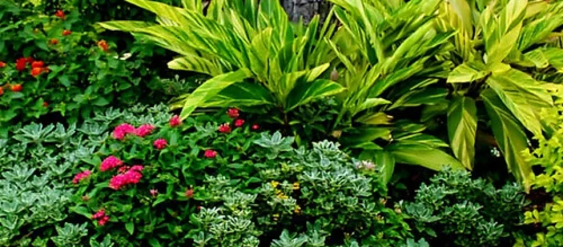 gardening