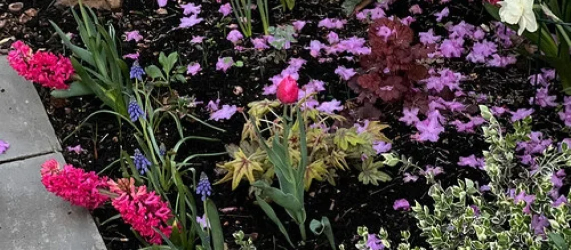 Gardening