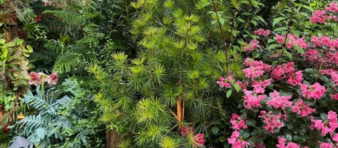 Butchart Gardens