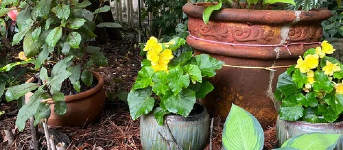 gardening