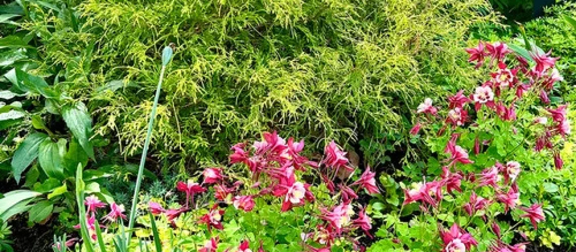 Gardening