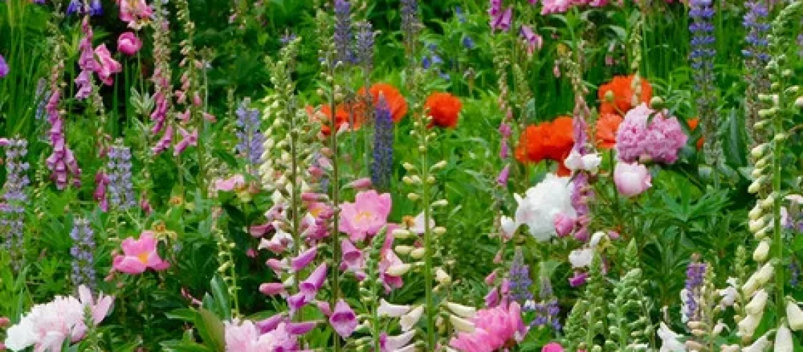 Gardening