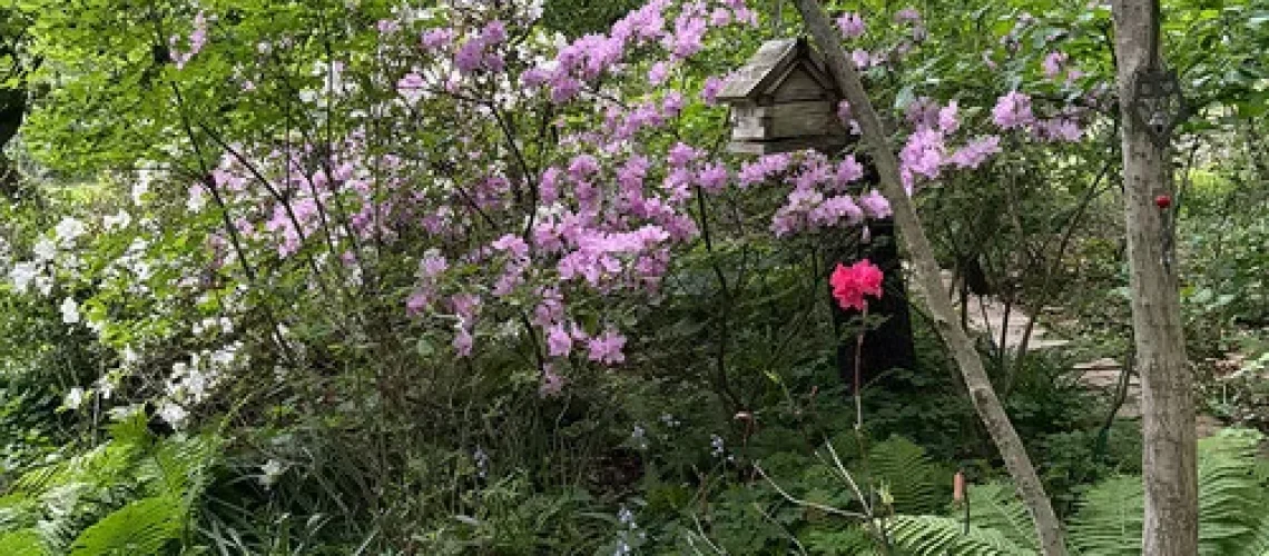 gardening