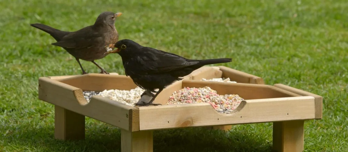 RSPB