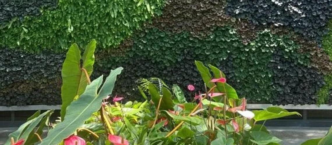 Royal Botanic Garden Sydney