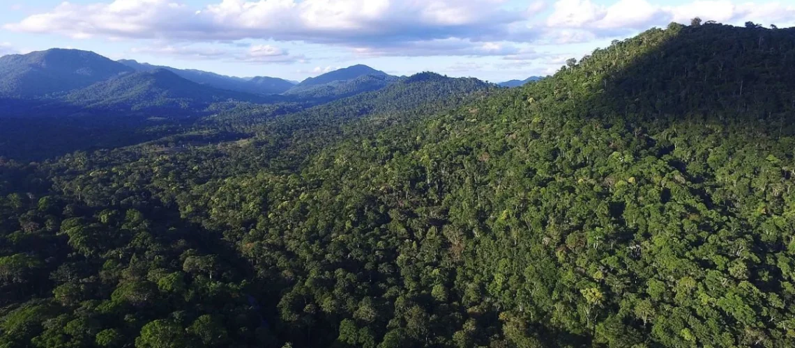 Mata Atlântica