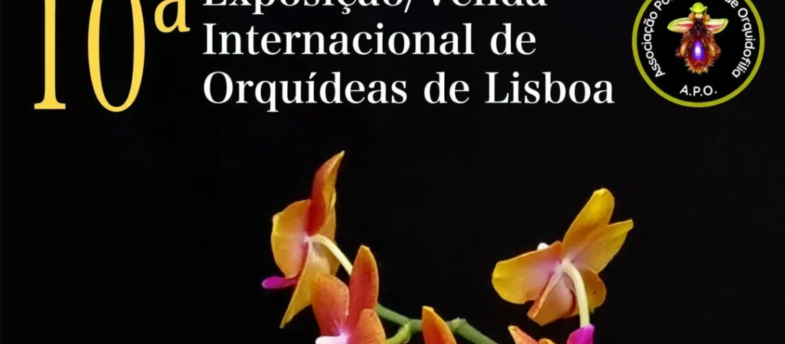 Orquídeas