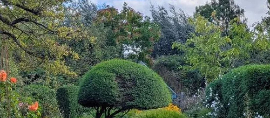 Dutch garden