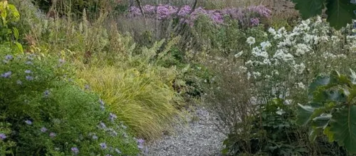 Jardim Holandês