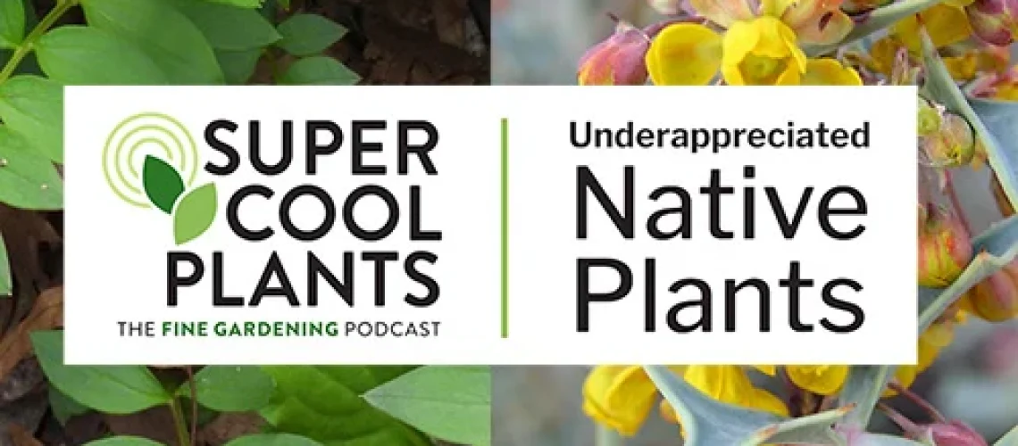 Native plants