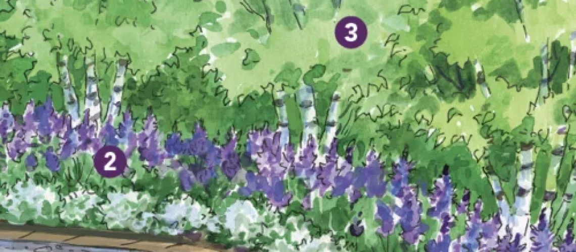 Spring garden