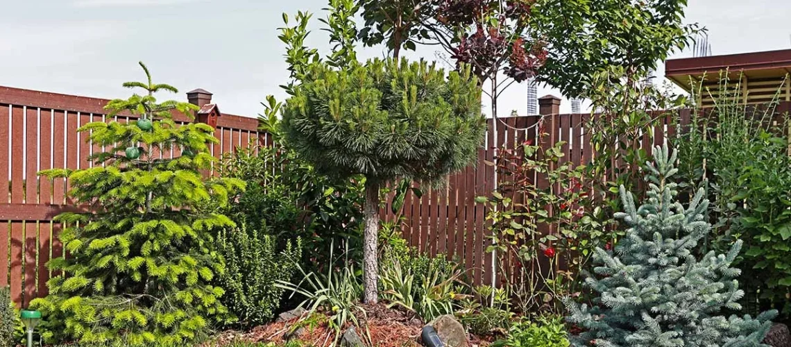 small trees