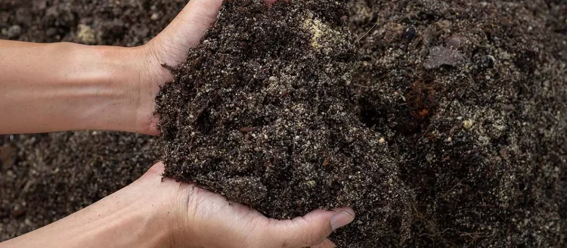 garden soil