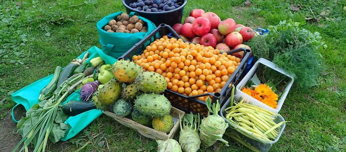 frutas incomuns