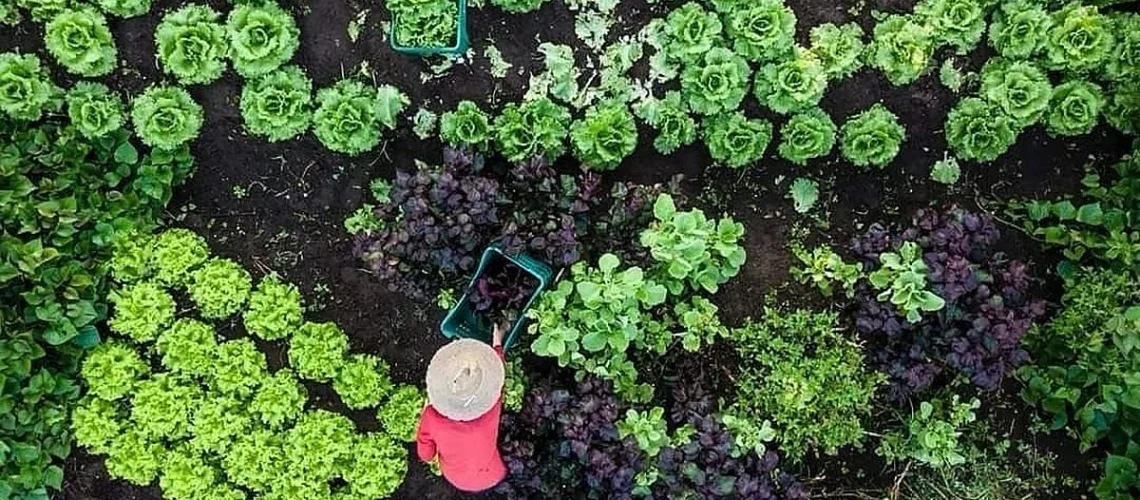 Agroecologia