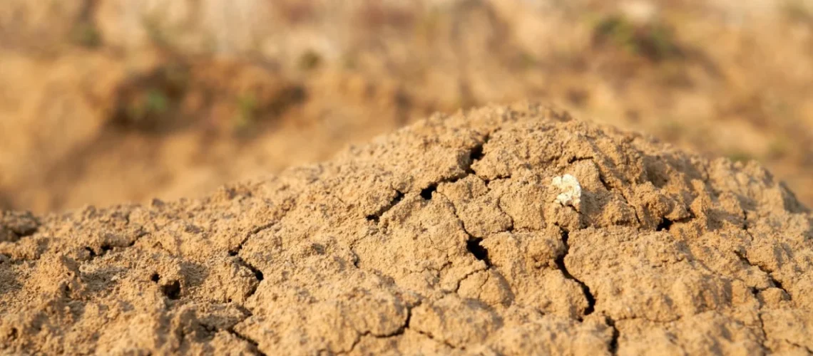 Construção Sustentável