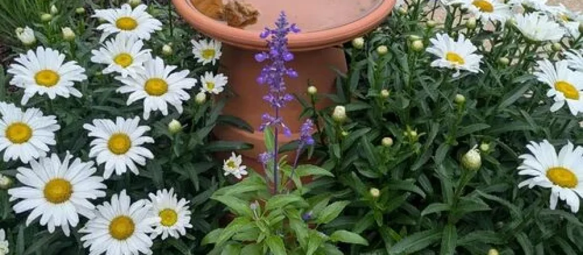 Jardinagem