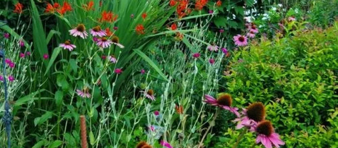 Gardening