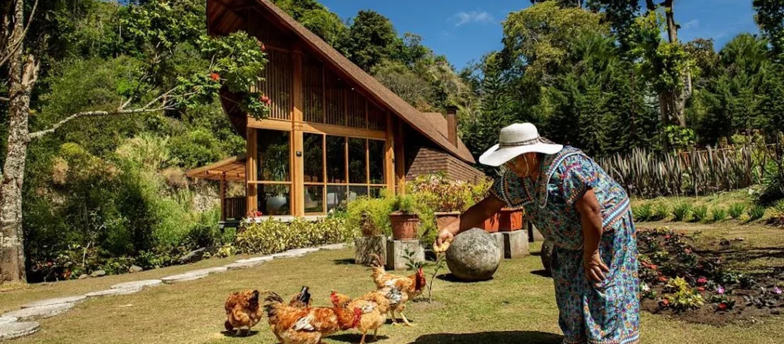 Arquitetura Sustentável