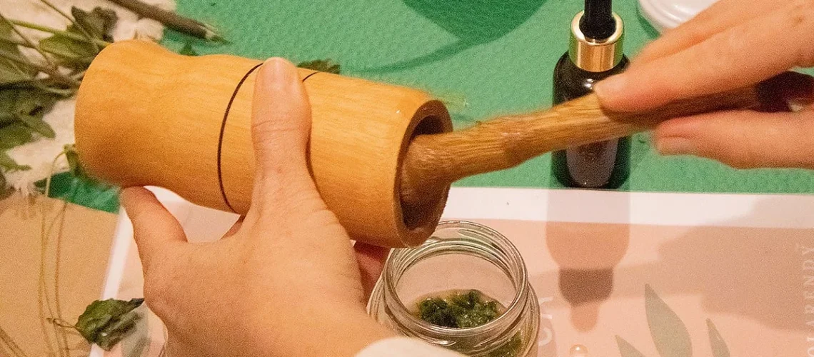 plantas medicinais