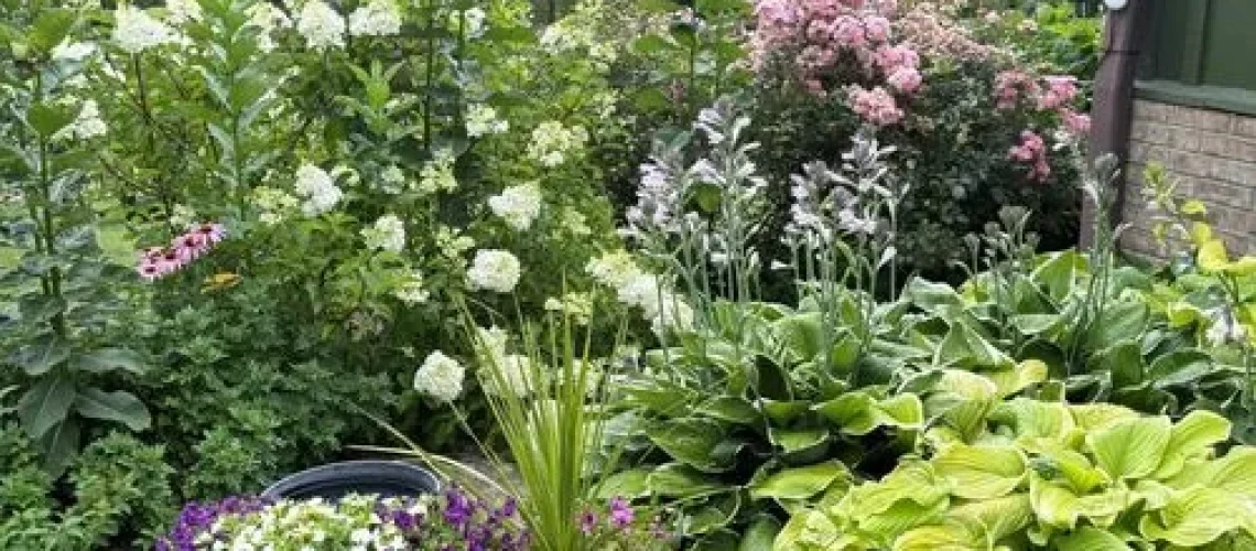 Mountain Gardening