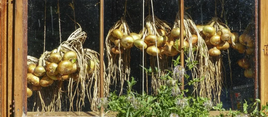 Horta