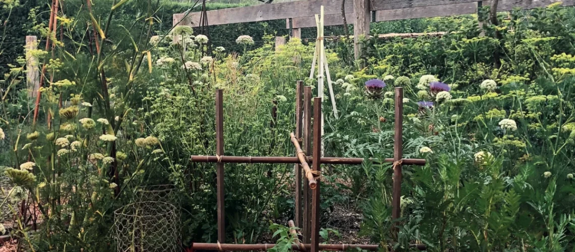 Kitchen Garden