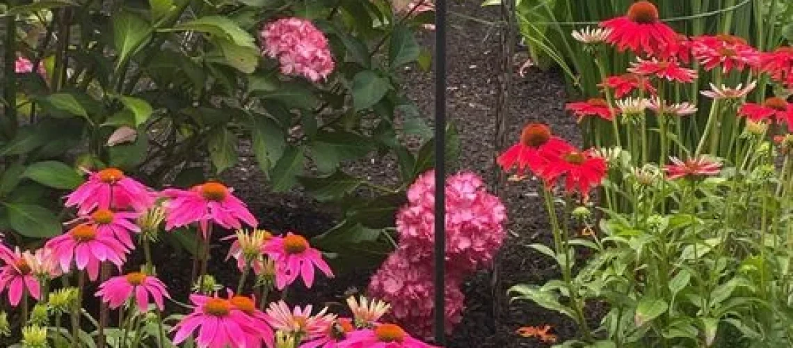 Gardening