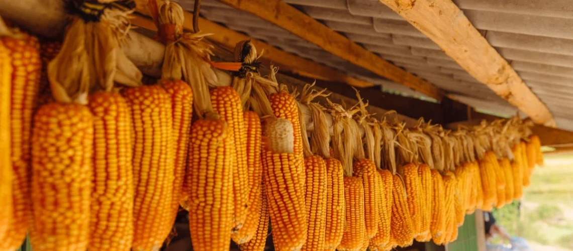 SLC Agrícola