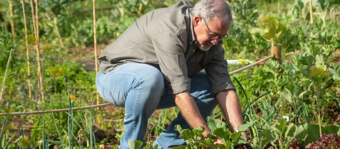 Agroecologia